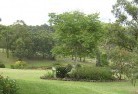 Doyalson Northresidential-landscaping-40.jpg; ?>